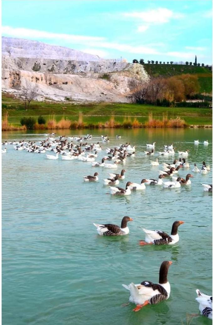 Akapella Hotell Pamukkale Exteriör bild
